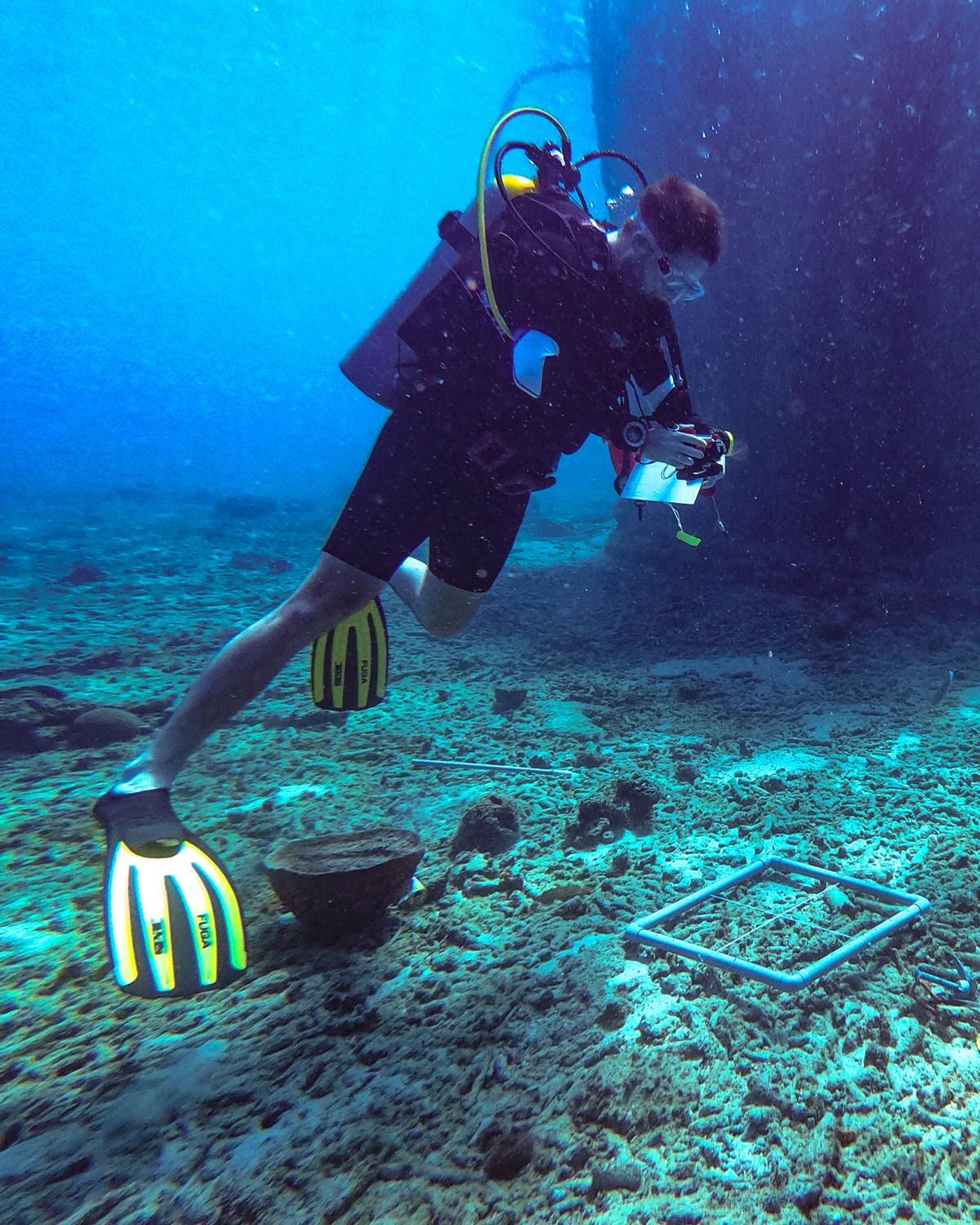 masteronderzoek op CuraçaoMaster research on Curacao