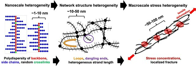 Better ultra‐soft elastomers through defects control