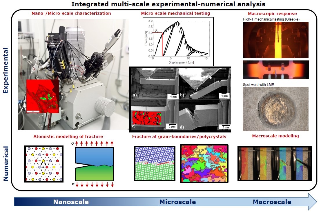 Integrated multi-scale experimental-numerical analysis