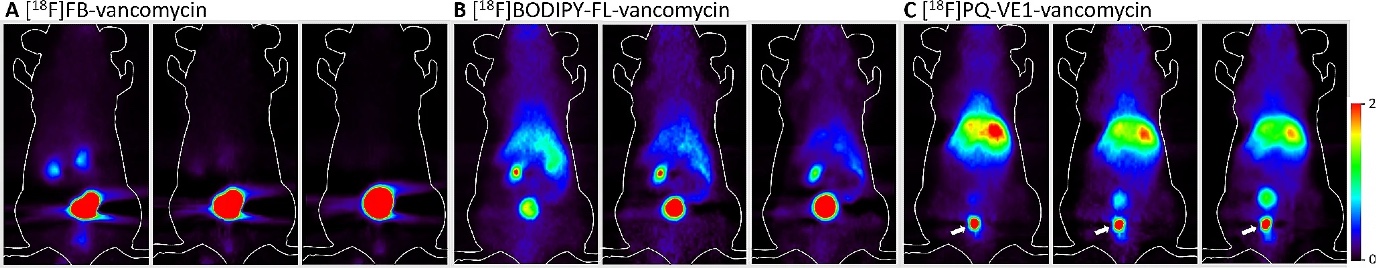 PET-scans van ratten, waaarop infecties zichtbaar zijn.