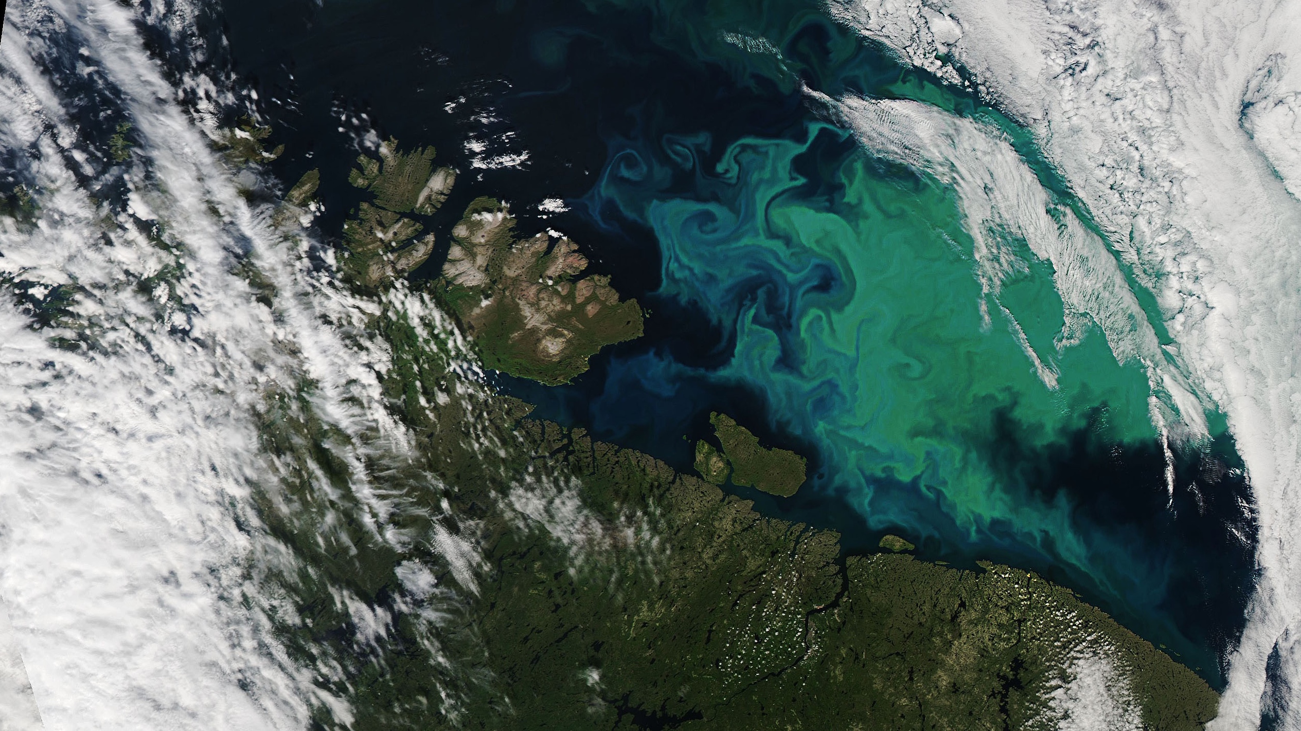 Satellietfoto van algenbloei in de oceaan