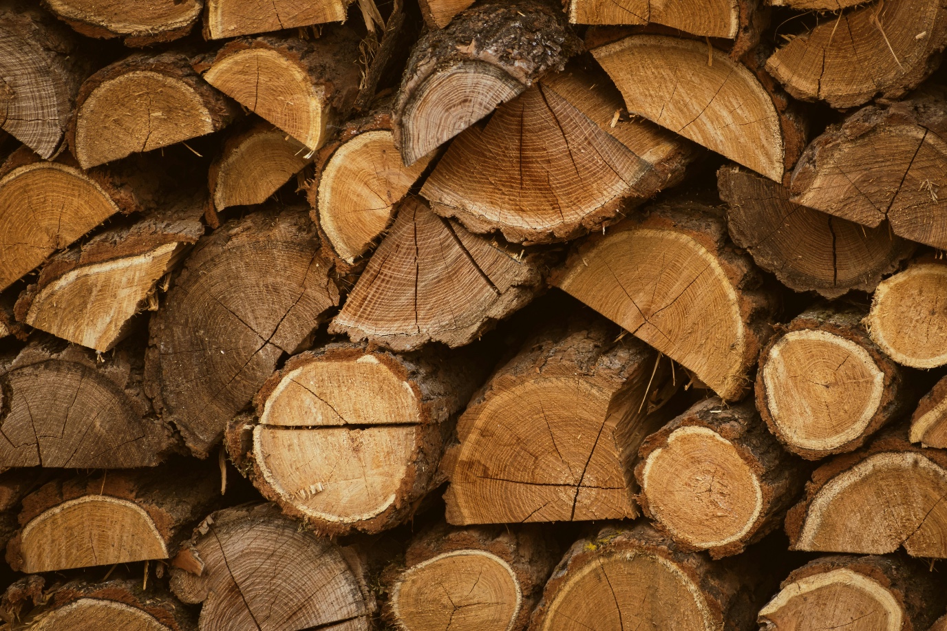 decoratieve afbeelding