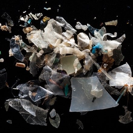 Microplastics: wat doen ze met ons?