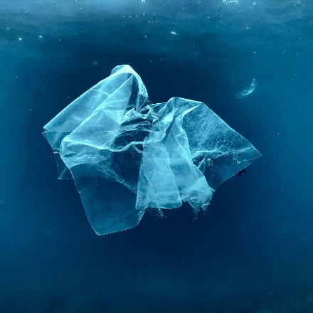 Plastic recycling: met dank aan bacteriën