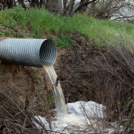 Waarom laten we ons regenwater eigenlijk weglopen in het riool?