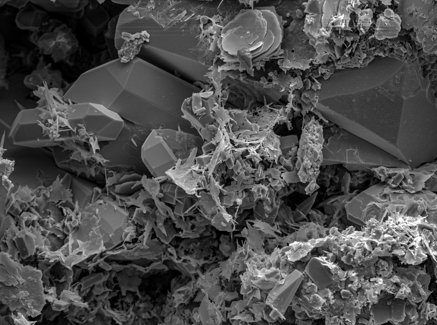 Scanning-elektronenmicroscopie opname van een Rotliegend Zandsteen op enige afstand van de Nederlandse kust. Filigraan-kristallen van kleimineralen vullen de ruimte tussen zandkorrels. Dergelijke kristalvormen zullen waarschijnlijk vervormen tijdens uitputting van het reservoir en kunnen dus bijdragen aan verdichting en verzakking van het reservoir.