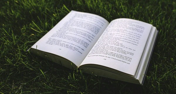 Summer & Winter Schools