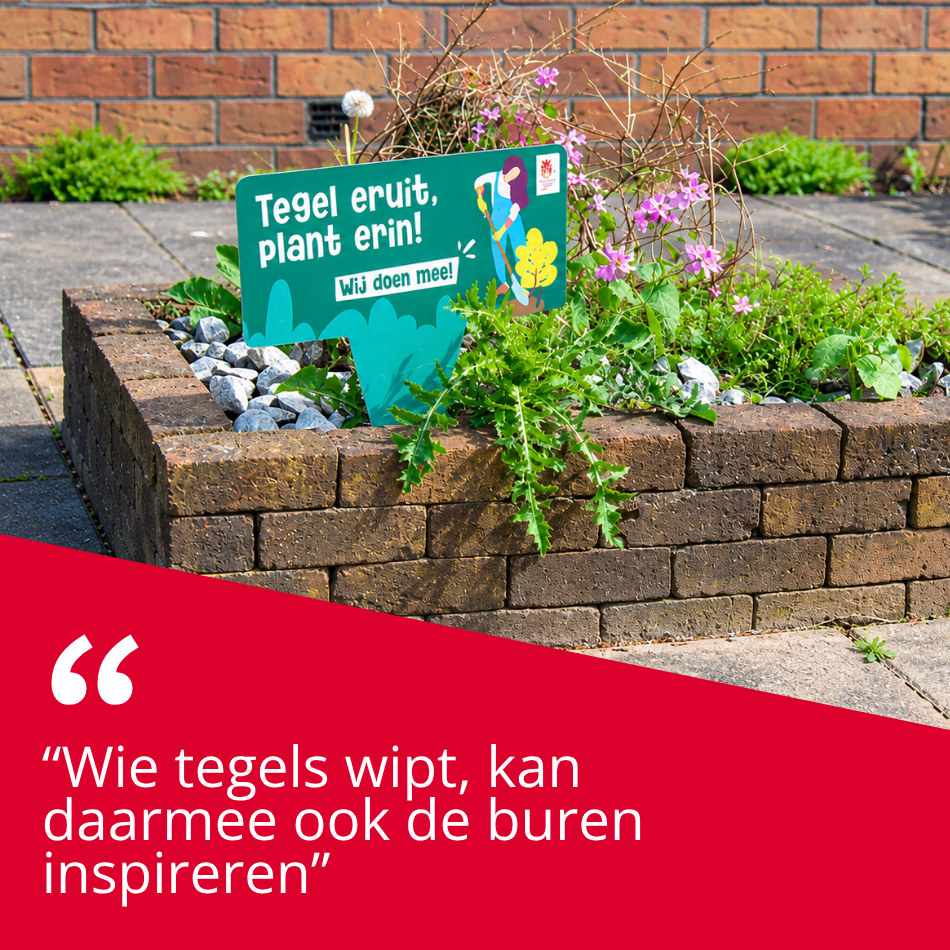 decoratieve afbeelding