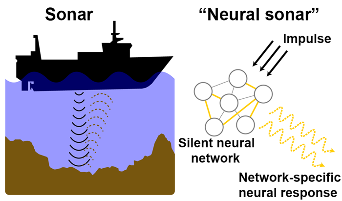 Neural Sonar