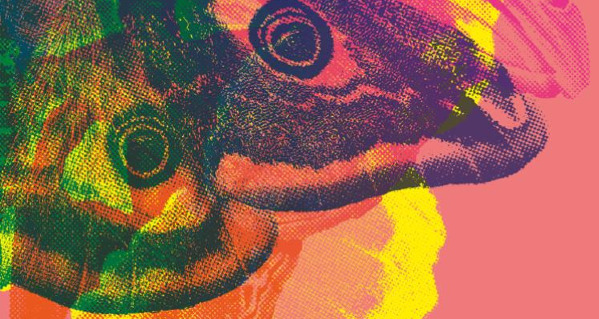 Queer Science Festival in Usva - 21 mei