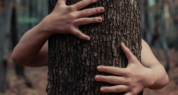 Wie vaker in de natuur is, voelt sterker de noodzaak om klimaatverandering tegen te gaan