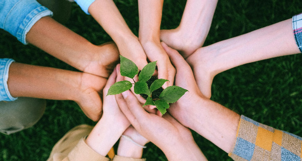 Overheid en bedrijven sleutelspelers in klimaat, maar werknemers zien zichzelf als minder verantwoordelijk en minder capabel