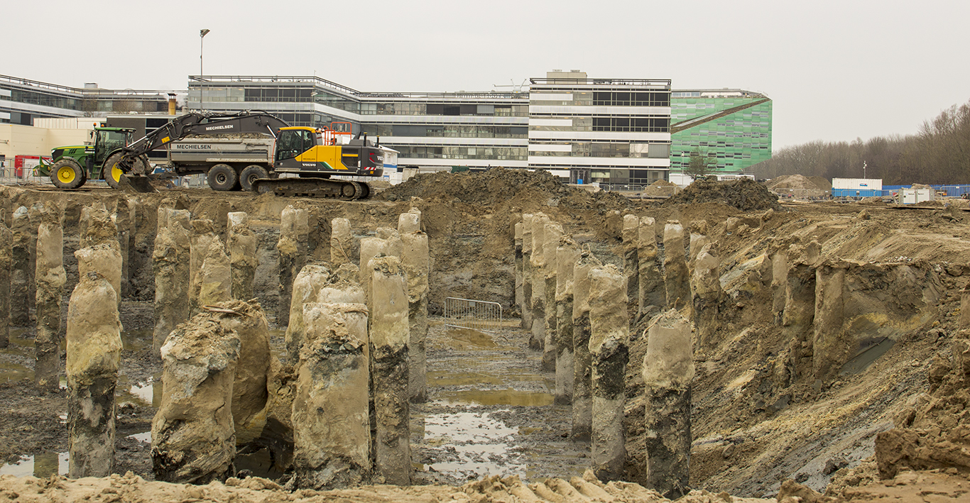 Foundation piles of the Feringa Building