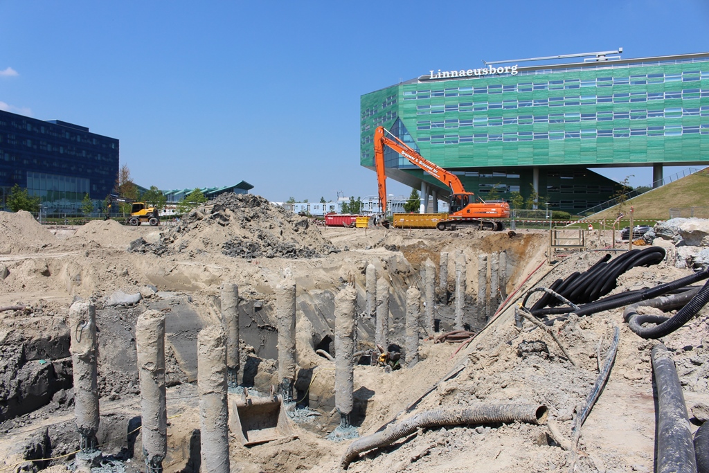 Start van het labyrint | juni 2015