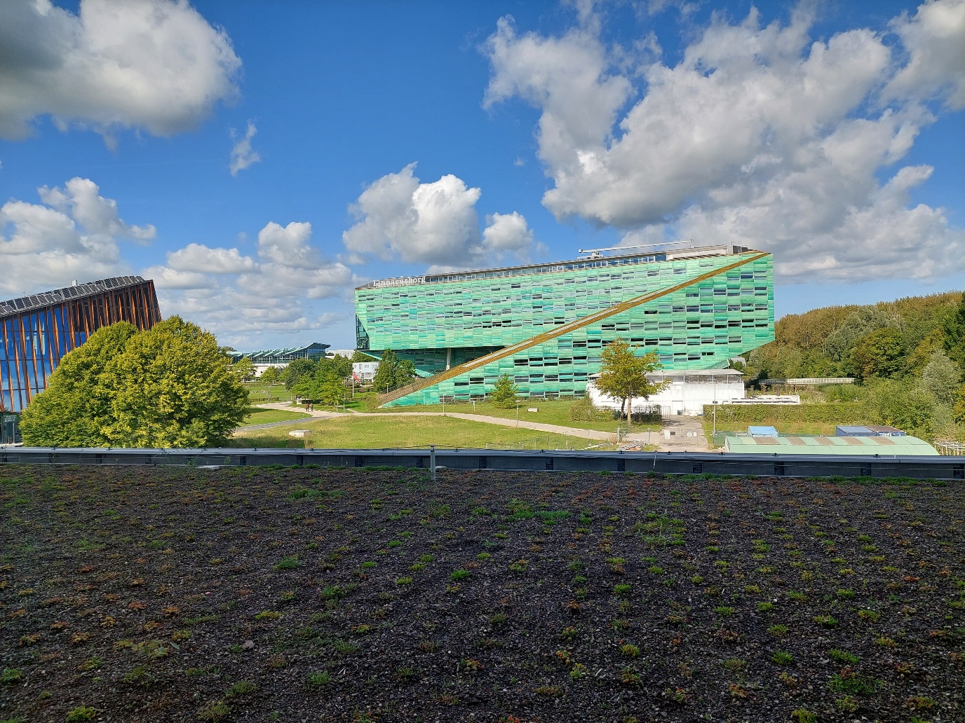 Uitzicht op groene daken en de Linnaeusborg
