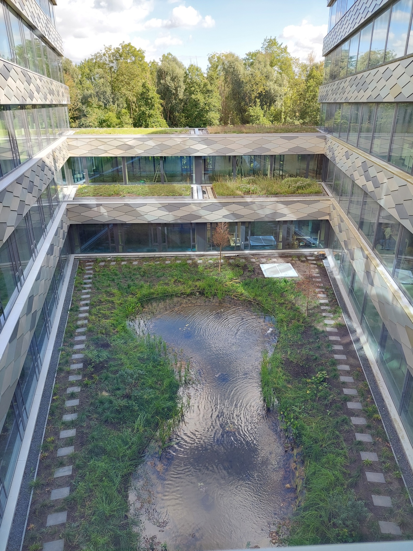 Deze patiotuin beschikt over een vijver. 