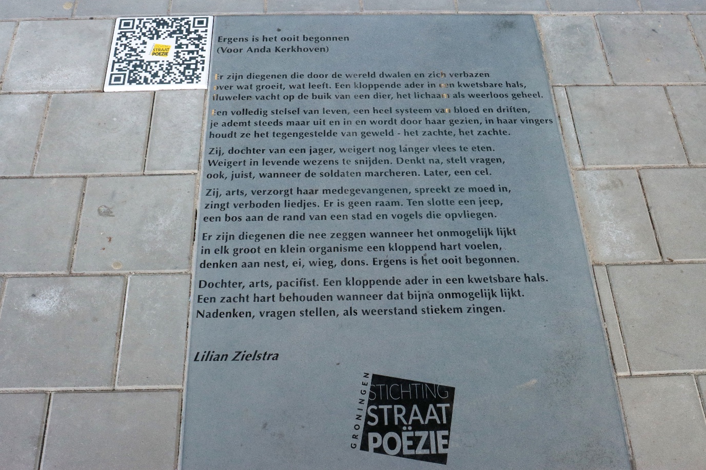 'Ergens is het ooit begonnen' (Lilian Zielstra)