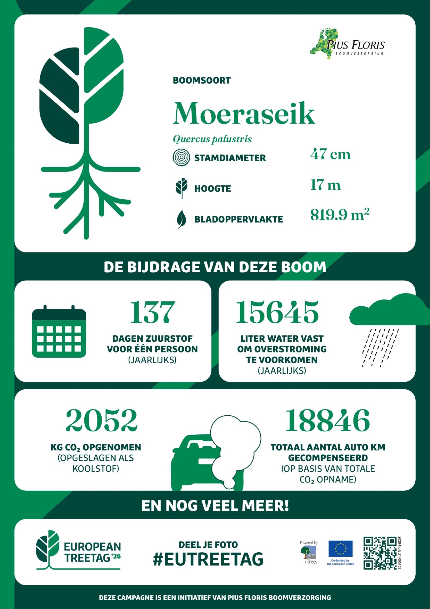 De TreeTag van de Moeraseik
