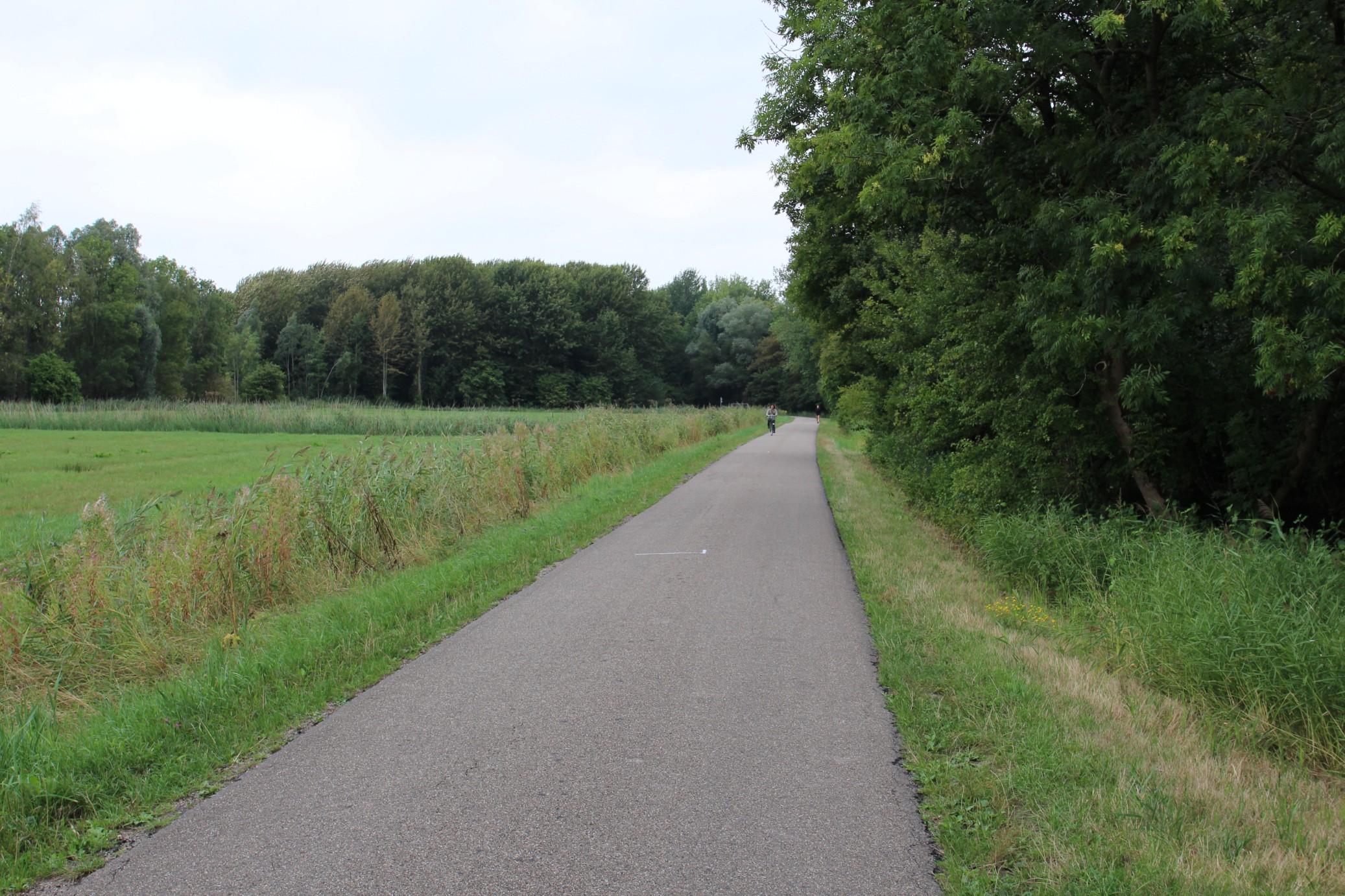 Nieuwe route via de Paddepoelsterweg