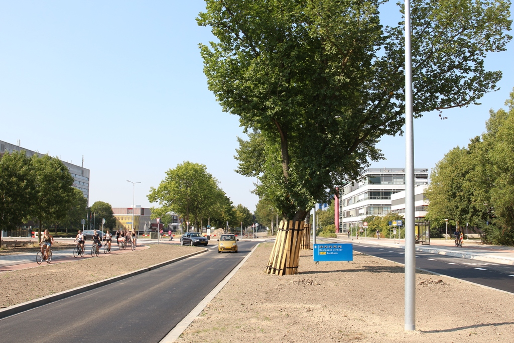 Zernikelaan | september 2019