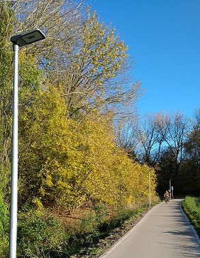 Straatverlichting bij Penningsdijk & Paddepoelsterweg