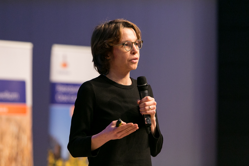 Dr. Katherine Stroebe (Associate Professor, Faculty of Behavioural and Social Sciences, University of Groningen)