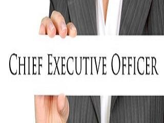 Superstar or Winning Team: How do CEO&rsquo;s and Top Management Teams Actually Impact Organizational Performance?