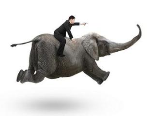 Top-down versus Bottum-up &ndash; of beide?
