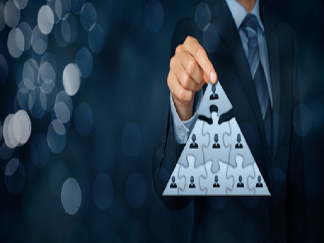 Diversiteit in teams heeft baat bij een hi&euml;rarchie