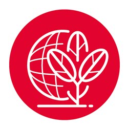 decoratieve afbeelding