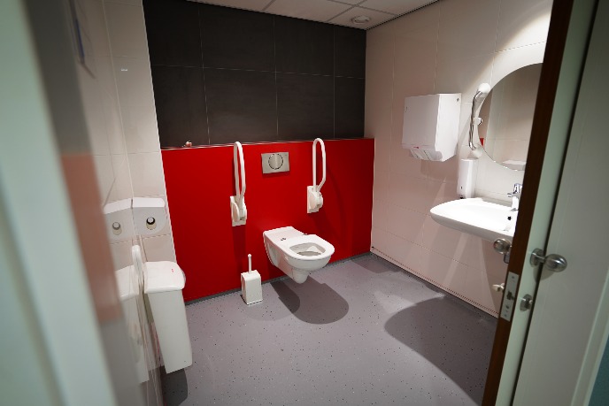 Wheelchair-friendly toilet on site