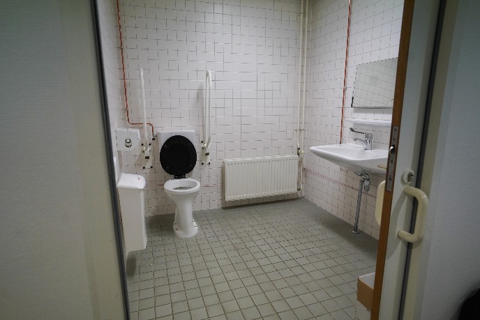 Wheelchair-friendly toilet in building part 1315