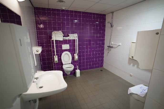 Wheelchair-friendly toilet on site