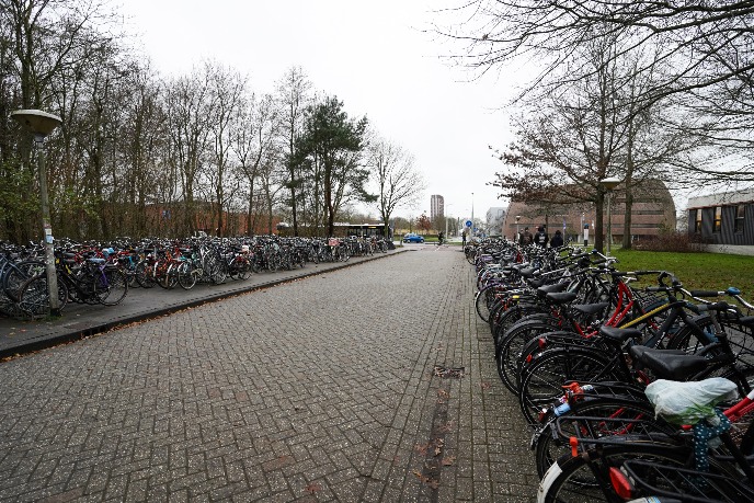 Bicycle parking space at the main entrance of the building