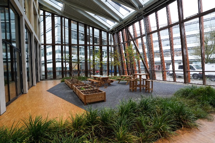 Winter garden in the building