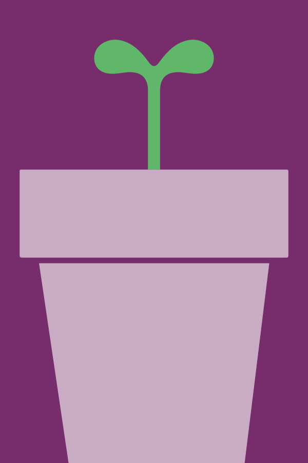 Icon 2
