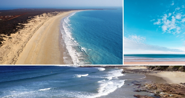 Dynamic Island Landscapes