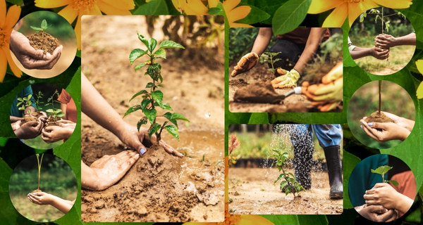 Philosophy of Nature