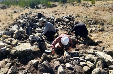 decoratieve afbeelding