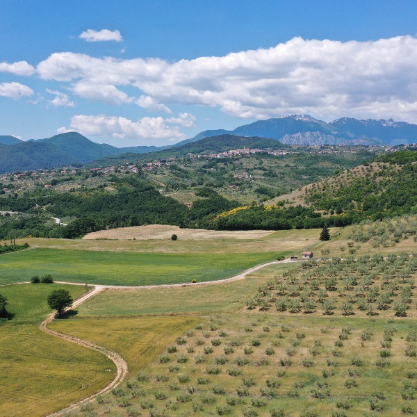 Practicum: Remote Sensing in ancient Samnium. Aerial archaeology and geophysics practicum in&nbsp;Molise