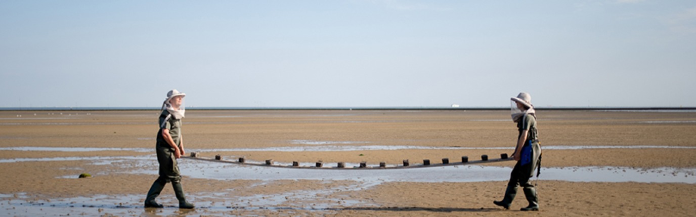 © de Onkruidenier, SWEET – SWEAT Become a salt-loving species, 2019 Fotografie: Marleen Annema