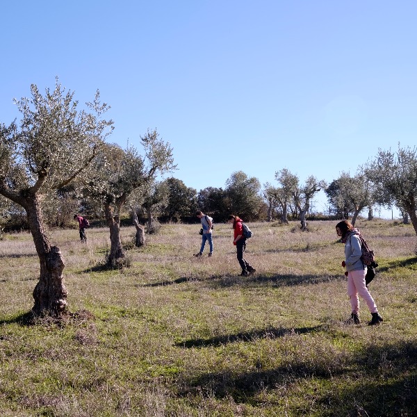 The Impact of Roman Imperialism in the West