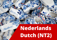 Dutch for non-native speakers