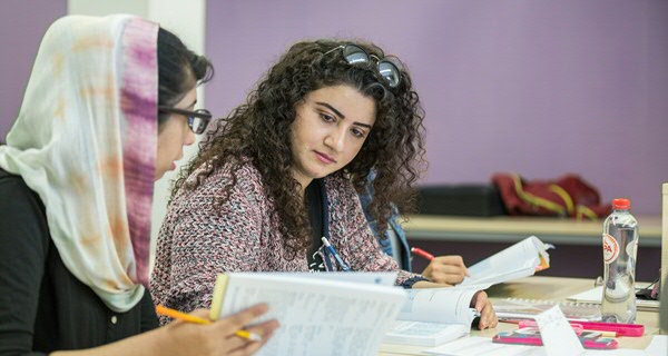 Dutch civic integration courses