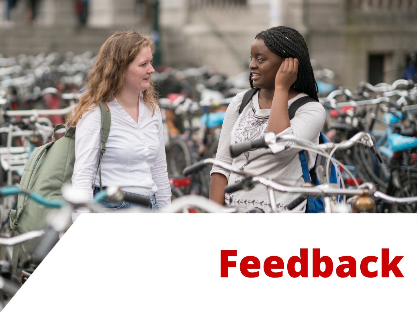 Academische schrijfvaardigheid Nederlands feedback