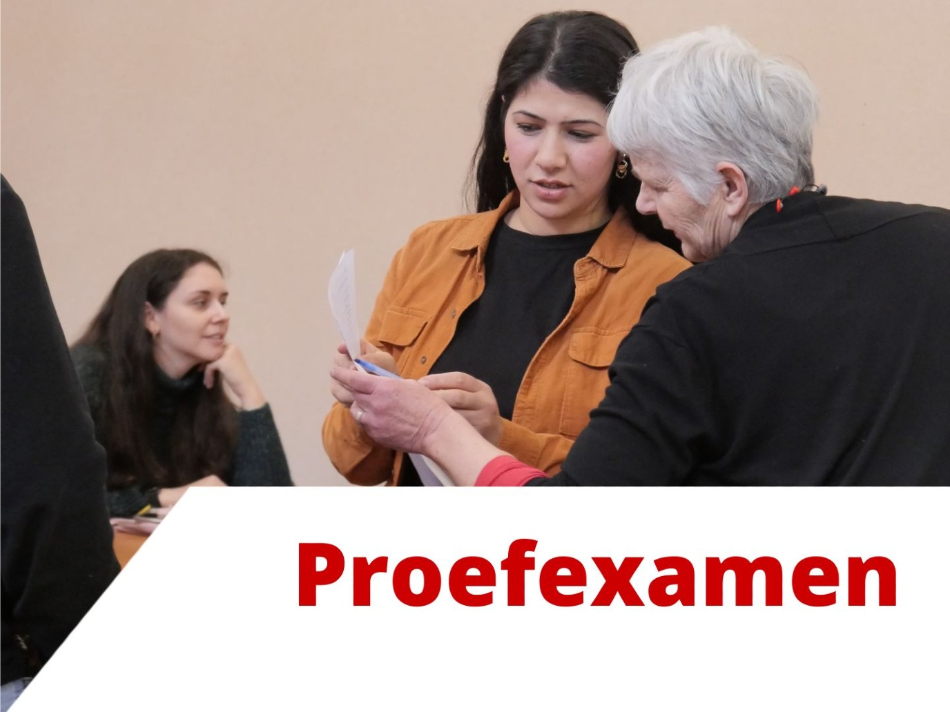 Proefexamen 