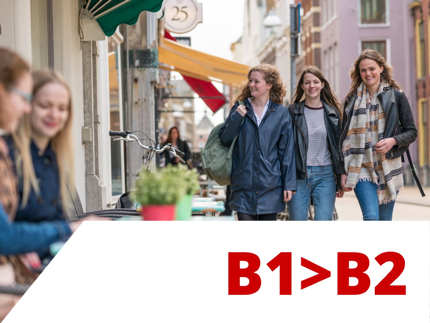 Dutch for native speakers of German  B1>B2