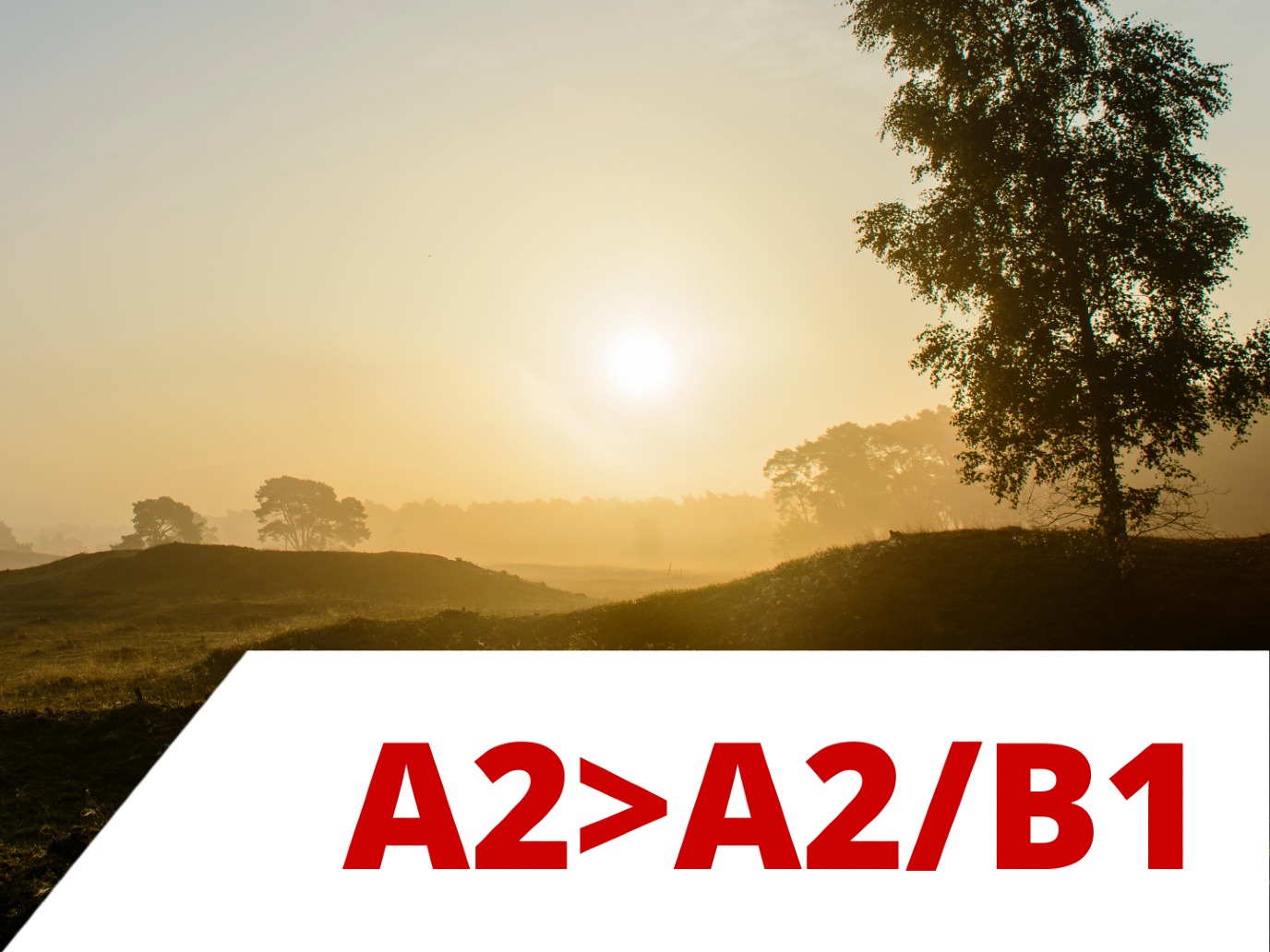 Online Dutch A2>A2/B1