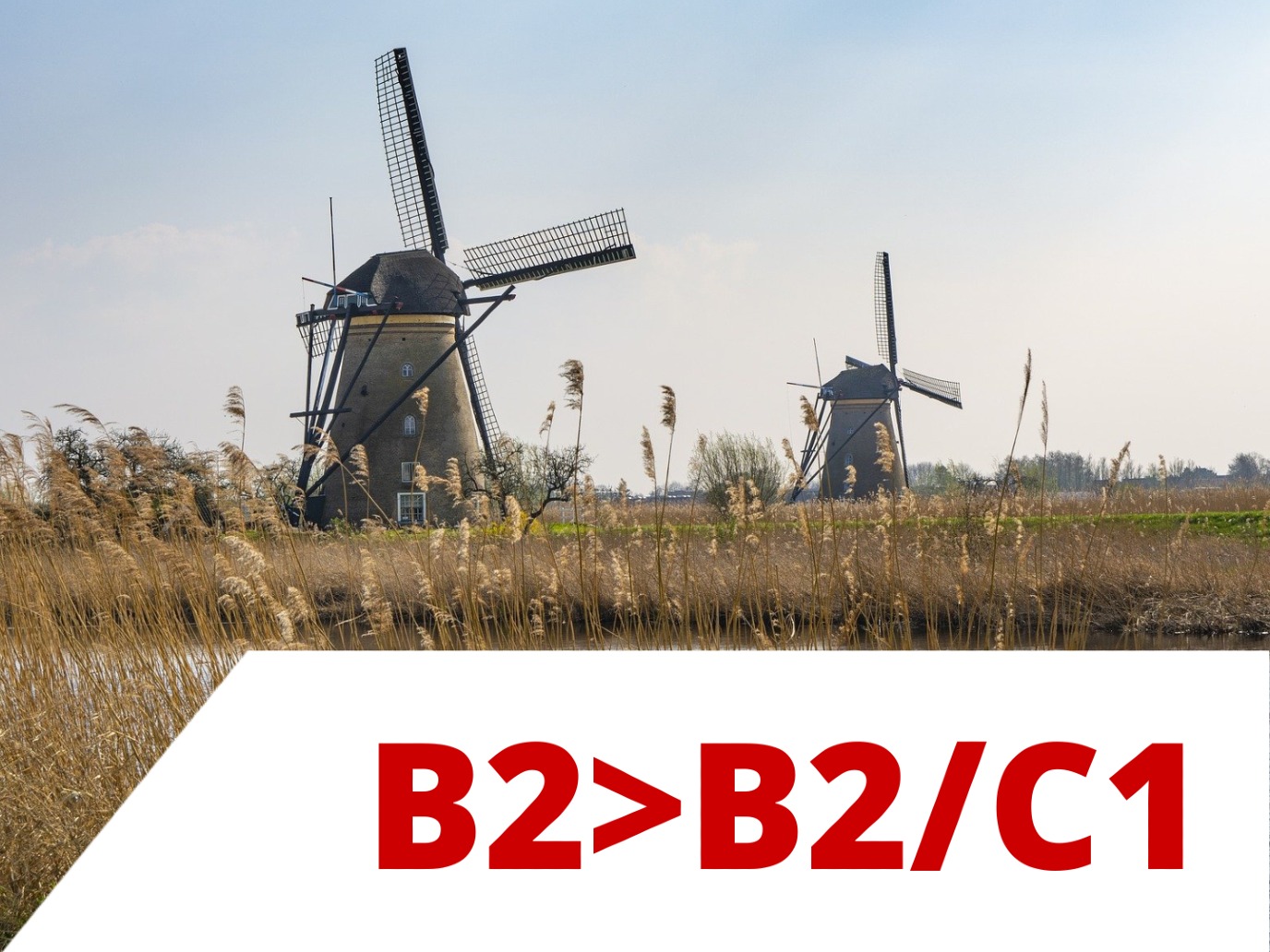 Dutch B2>B2/C1