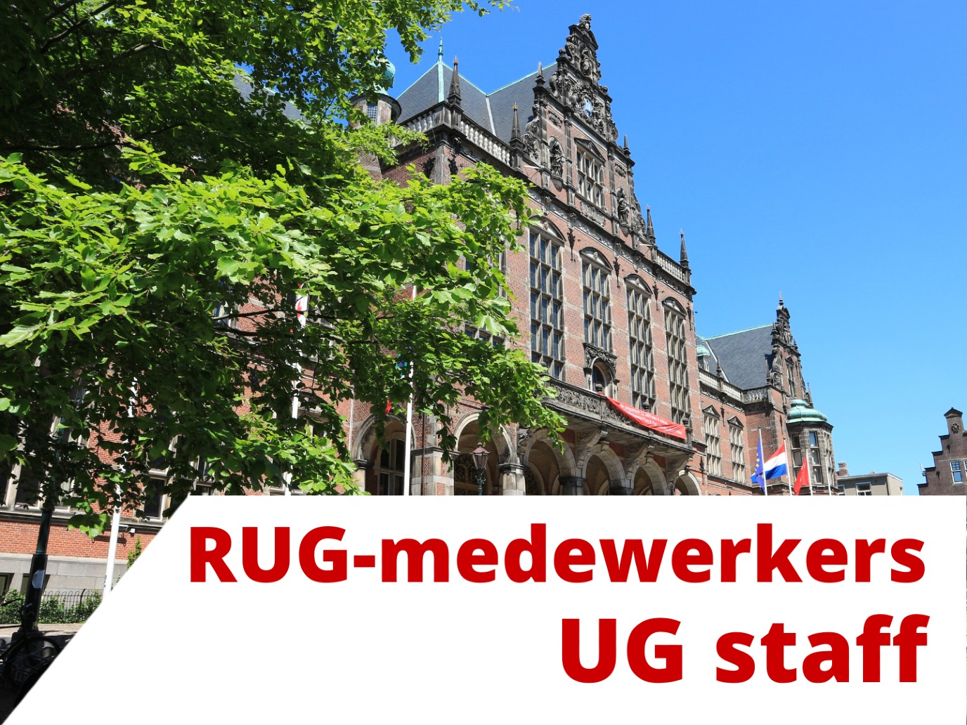 Nederlands voor RUG-medewerkers